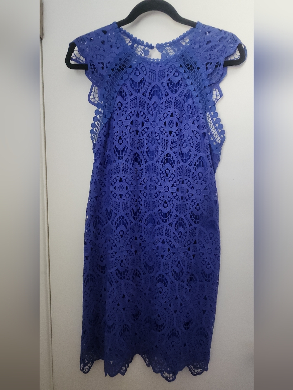 Laundry By Shelli Segal Royal Blue Lace Dress
